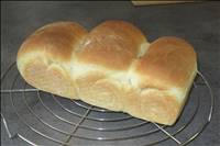 Shokupan 01.jpg: Cliquez ici pour agrandir